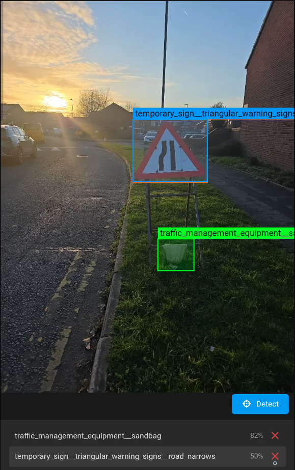 AI analysis results showing detection boxes
